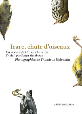 Icare, Chute d'Oiseaux by Thurston, Harry