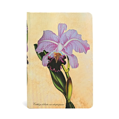 Brazilian Orchid Hardcover Journals Mini 176 Pg Lined Painted Botanicals by Paperblanks Journals Ltd
