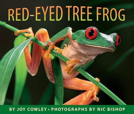 Red-Eyed Tree Frog by Cowley, Joy