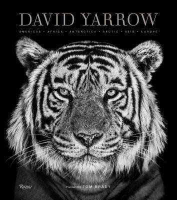 David Yarrow Photography: Americas Africa Antarctica Arctic Asia Europe by Yarrow, David