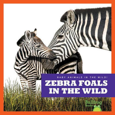 Zebra Foals in the Wild by Brandle, Marie