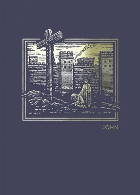 Net Abide Bible Journal - John, Paperback, Comfort Print: Holy Bible by Taylor University Center for Scripture E