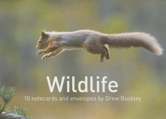 Wildlife by Drew Buckley Notecards: 10 Cards and Envelopes by Buckley, Drew