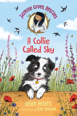 Jasmine Green Rescues: A Collie Called Sky by Peters, Helen