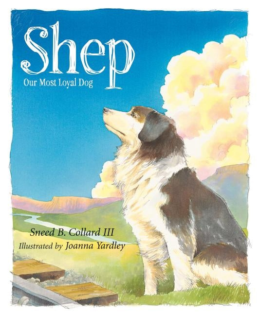 Shep: Our Most Loyal Dog by Collard, Sneed B.