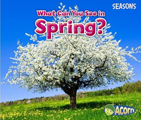 What Can You See in Spring? by Smith, Sian