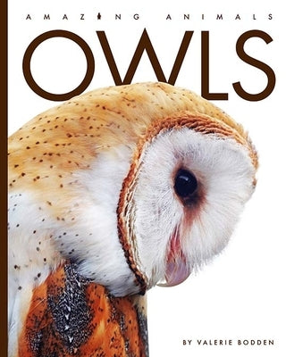 Owls by Bodden, Valerie