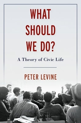 What Should We Do?: A Theory of Civic Life by Levine, Peter