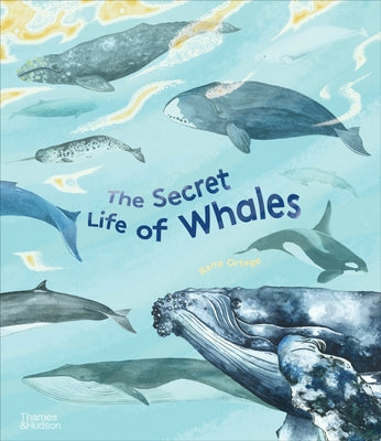 The Secret Life of Whales by Ortega, Rena