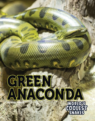 Green Anaconda by Canasi, Brittany