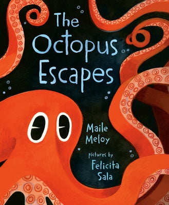 The Octopus Escapes by Meloy, Maile
