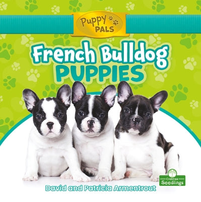 French Bulldog Puppies by Armentrout, David