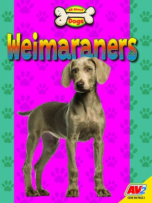 Weimaraners by Kissock, Heather
