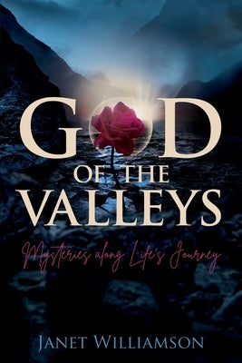 God of the Valleys: Mysteries along Life's Journey by Williamson, Janet