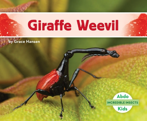 Giraffe Weevil by Hansen, Grace