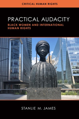 Practical Audacity: Black Women and International Human Rights by James, Stanlie M.