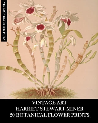 Vintage Art: Harriet Stewart Miner: 20 Botanical Flower Prints: Orchid Ephemera for Framing, Home Decor and Collages by Press, Vintage Revisited