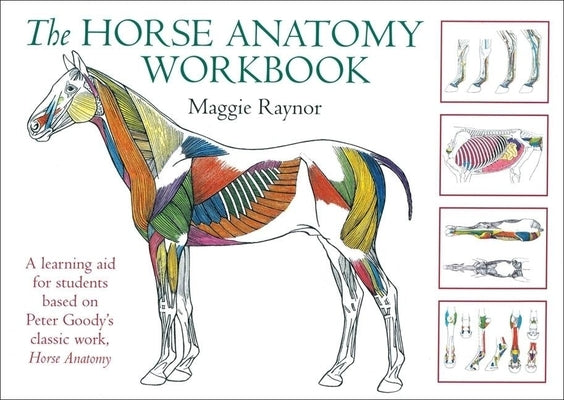 The Horse Anatomy Workbook: A Learning Aid for Students Based on Peter Goody's Classic Work, Horse Anatomy by Raynor, Maggie