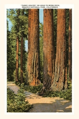 The Vintage Journal Three Graces Redwoods, Sequoia, California by Found Image Press