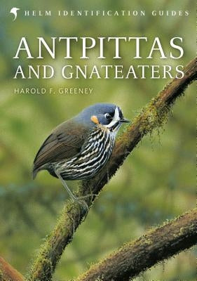 Antpittas and Gnateaters by Greeney, Harold