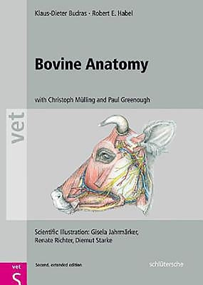 Bovine Anatomy by Budras, Klaus-Dieter