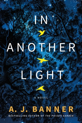 In Another Light by Banner, A. J.