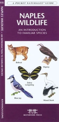 Tampa Bay Birds: A Folding Pocket Guide to Familiar Species by Kavanagh, James