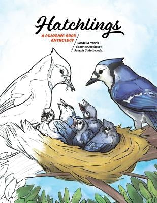 Hatchlings: A Coloring Book Anthology by Norris, Cordelia