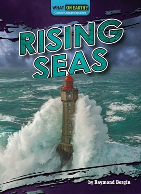 Rising Seas by Bergin, Raymond