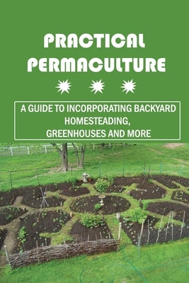 Practical Permaculture: A Guide To Incorporating Backyard Homesteading, Greenhouses And More: Nitty-Gritty Of Permaculture Design by Jochumsen, Terry