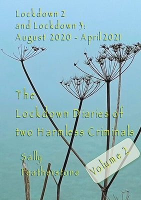 Lockdown Diary 2 by Featherstone, Sally