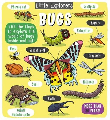 Little Explorers: Bugs by Little Bee Books