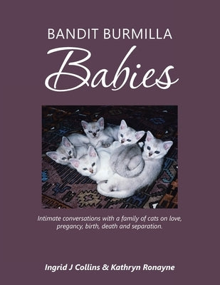 Bandit Burmilla Babies: Intimate Conversations with a Family of Cats on Love, Pregancy, Birth, Death and Separation. by Collins, Ingrid J.