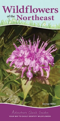 Wildflowers of the Northeast: Your Way to Easily Identify Wildflowers by Miller, George Oxford