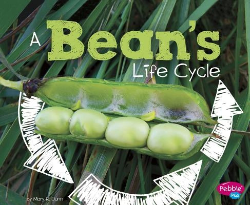 A Bean's Life Cycle by Dunn, Mary R.