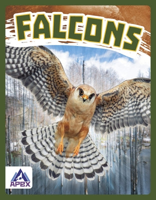 Falcons by Stratton, Connor