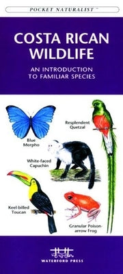 Eastern Backyard Birds: An Introduction to Familiar Urban Species by Kavanagh, James