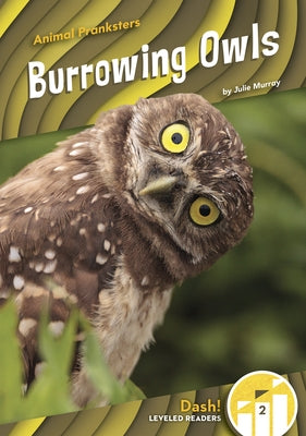 Burrowing Owls by Murray, Julie