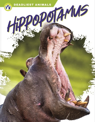 Hippopotamus by Golkar, Golriz