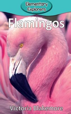 Flamingos by Blakemore, Victoria