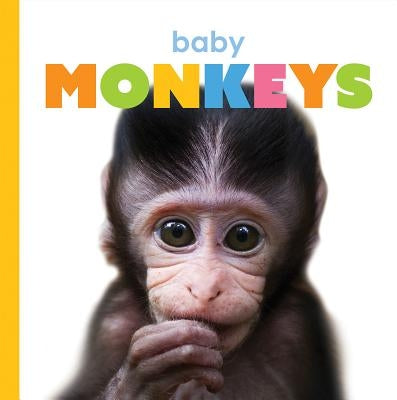 Baby Monkeys by Riggs, Kate