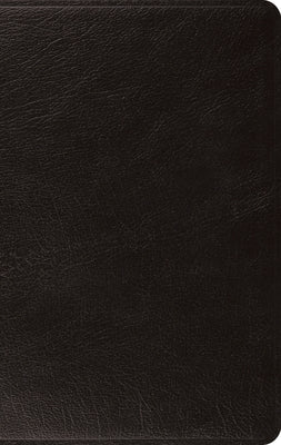 ESV Large Print Thinline Bible (Black) by 