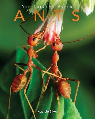 Ants: Amazing Pictures & Fun Facts on Animals in Nature by De Silva, Kay