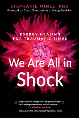 We Are All in Shock: Energy Healing for Traumatic Times by Mines, Stephanie