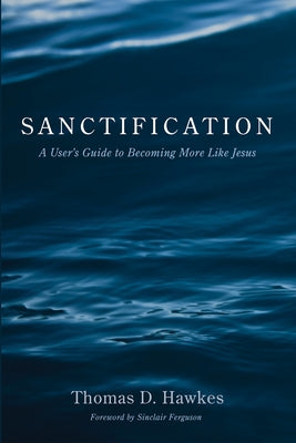 Sanctification by Hawkes, Thomas D.