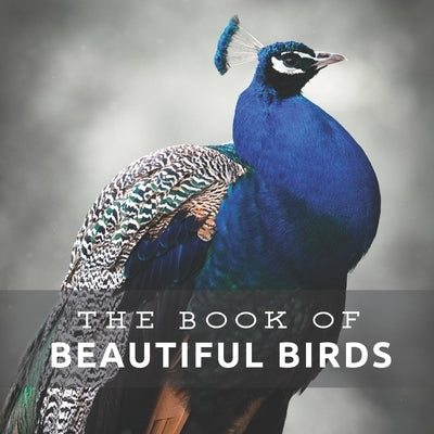 Beautiful Birds: Picture Book For Seniors With Dementia (Alzheimer's) by Pretty Pine Press