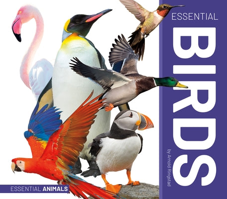 Essential Birds by Ringstad, Arnold