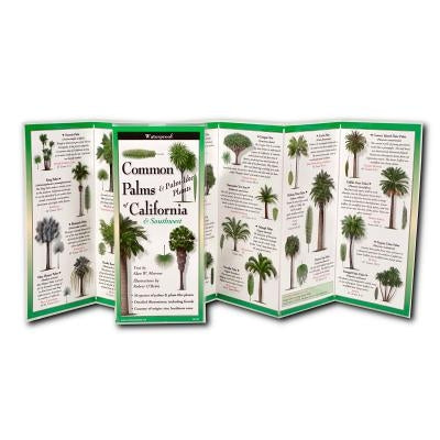 Common Palms of California & Southwest by O'Brien, Robert
