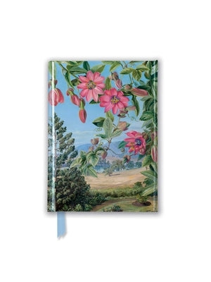 Kew: Marianne North: View in Brisbane Botanic Garden (Foiled Pocket Journal) by Flame Tree Studio