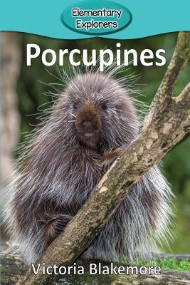 Porcupines by Blakemore, Victoria